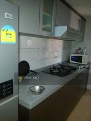 Evergreen Park (D19), Apartment #121756742